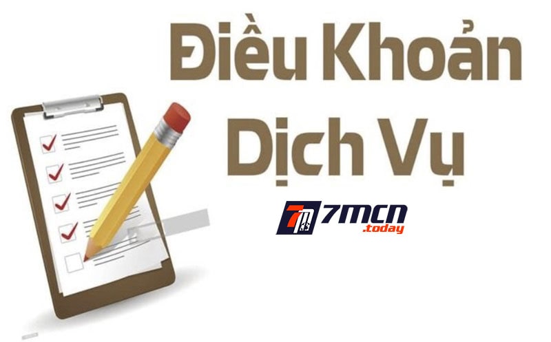 Tổng hợp điều khoản sử dụng